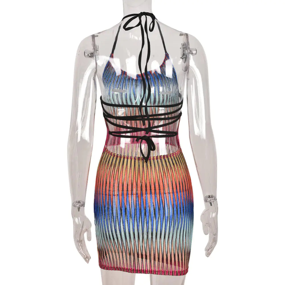 Rainbow Mesh Mini Dress